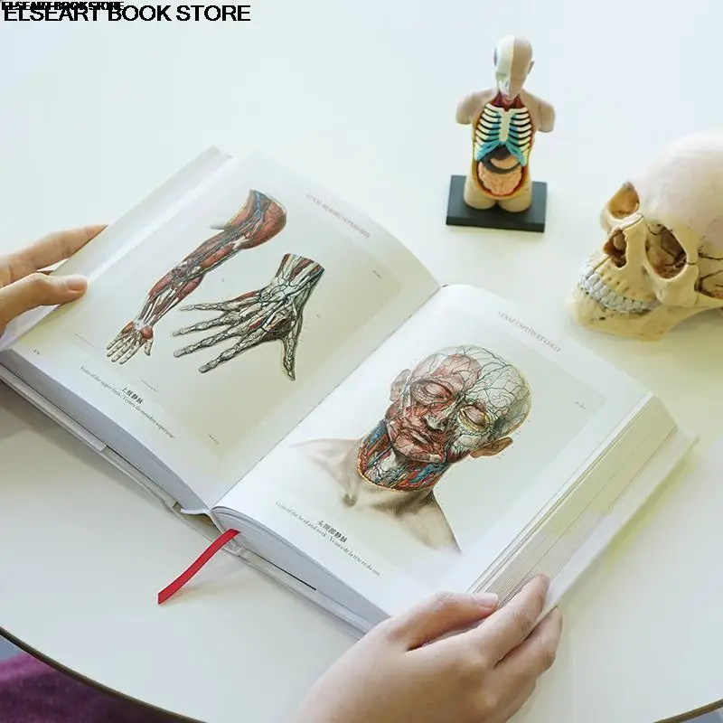 Atlas of human anatomy, 19th century art illustration, full color hardback book 169