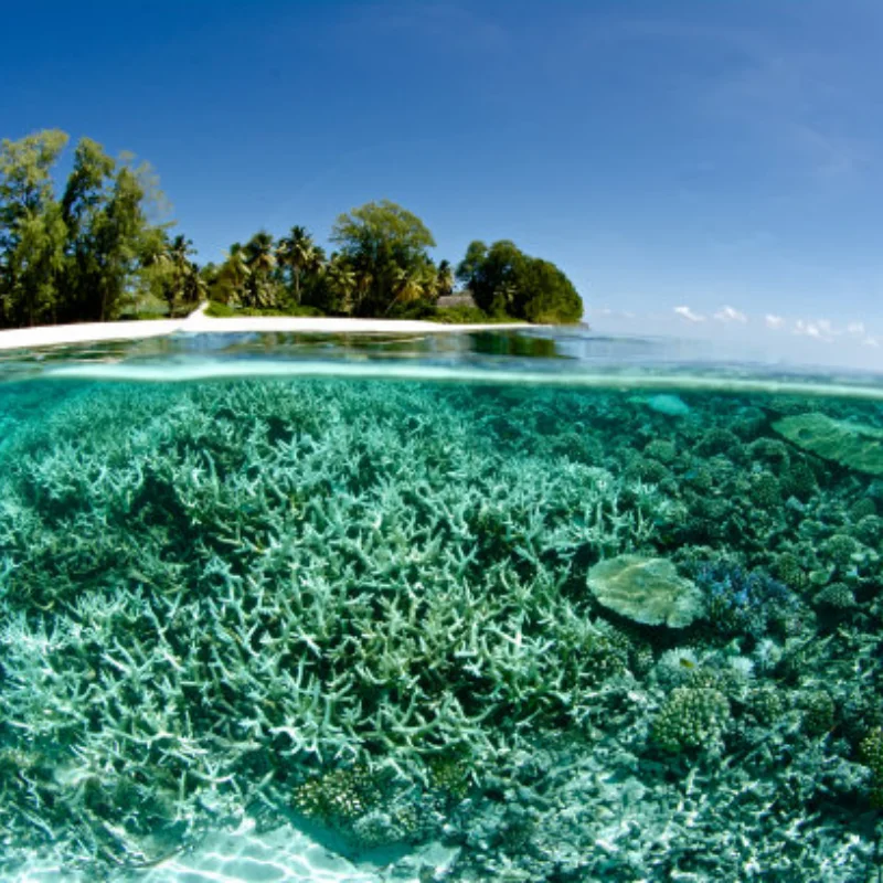 

for 2.4GHz Remote Control 3CH Transmitter with Receiver for 1/8 1/10 1/12 RC Car Boat Tank Crawler Axial SCX10 TRX4