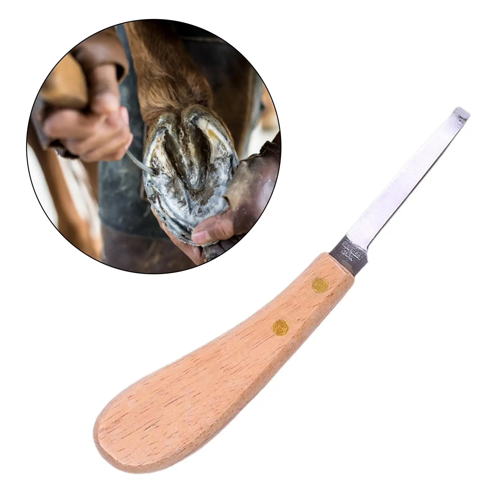 alicate-de-casqueamento-em-aco-inoxidavel-para-cavalos-cabras-ovelhas-e-vacas