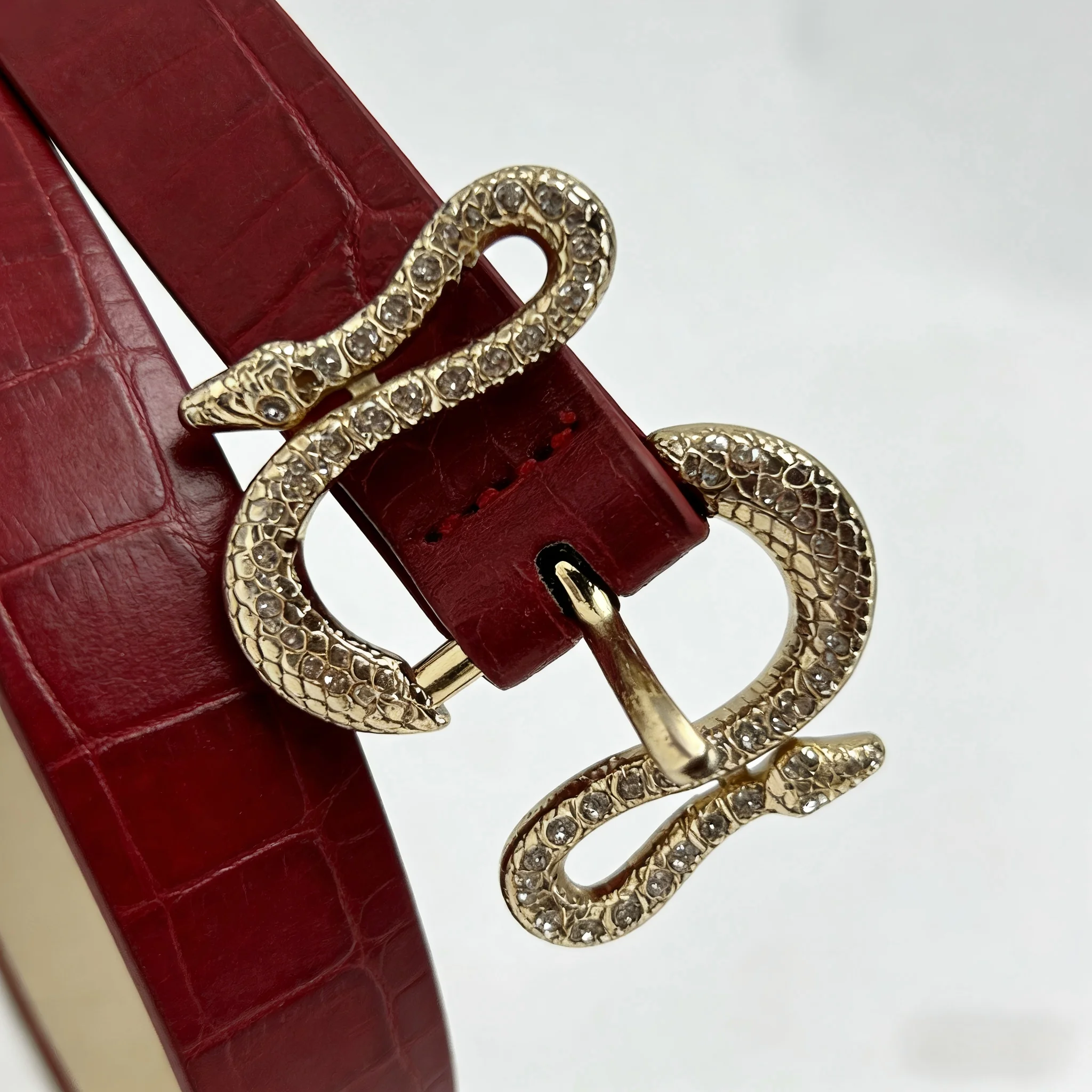 1 Unisex Waist Belt with Snake Shaped Buckle and Red Lychee Pattern, Fashionable and Versatile, Simple Y2K Style,
