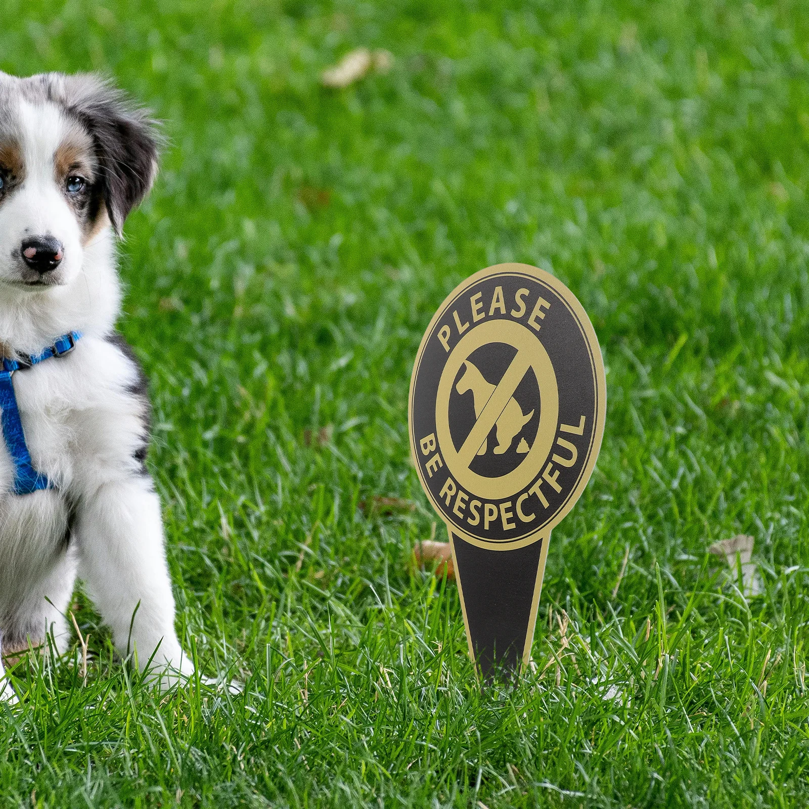 

1pcs Park Dog Warning Sign Aluminum Double Sided No Pooping Dog Lawn Stake For Outdoor Public Areas Decorative Yard Stake
