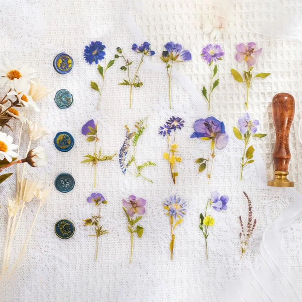 Floral Flower Sticker Leaf Wall Decor Decals DIY Decorative Sticker Self-contained Adhesive Graffiti Decoration