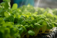 Metal Bracket for WPL B1 B14 B16 B24 C14 C24 B36 MN D90 D91 RC Car Upgrade Metal DIY Parts Kit