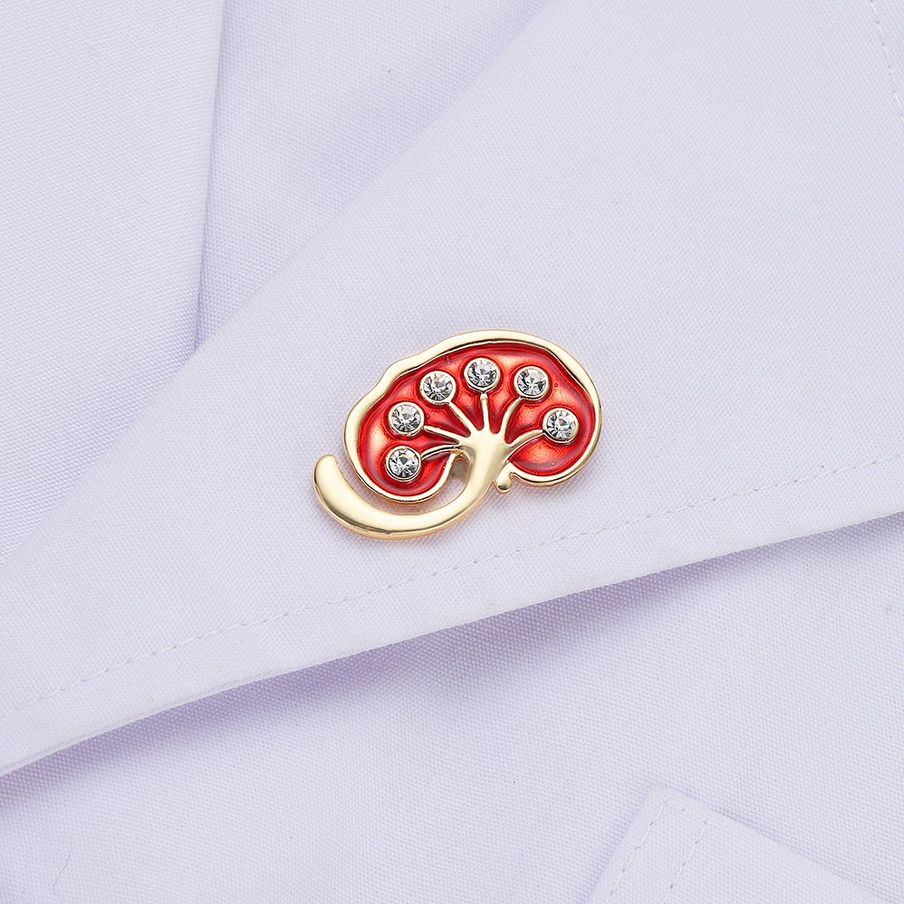 Hanreshe 2pcs Kidney Organ Medical Brooch Inlaid Crystal High Quality Lapel Badge Pins Medicine Jewelry for Doctor Student