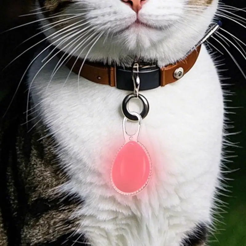 Led Luminous Dog Cat Collar Pet Lead Glowing Pendant Accessories Bright Necklace Safety Decoration for Nighttime Running Cycling
