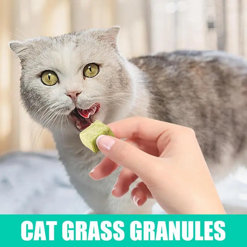 

Cat Grass Snack 60g Freeze Dried Pet Teething Natural Grass Snack For Cat Catnip Kitten Teeth Care Edible Food Toys For Hair