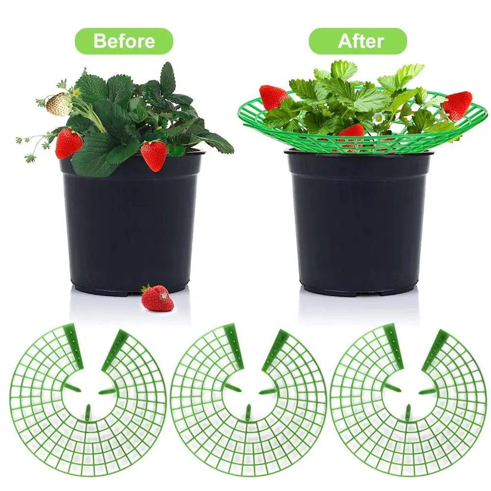 10Pcs Strawberry Supports with 3 Sturdy Legs Keeping Plant Fruit Stand Plastic Keeps Berries Clean Garden Accessories