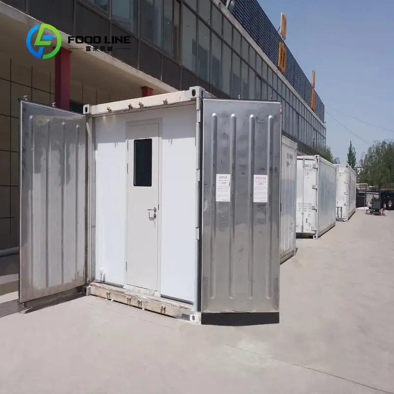 customized Vertical Farming Container Greenhouse Supplies Plant Factory for Lettuce Leaf Vegetables Dairy Cattle Feed Production