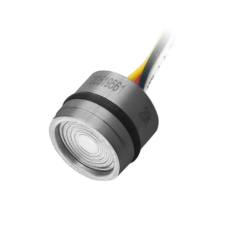 Sensor Gauge  Absolute Pressure Sealing Pressure High Precision Shock Resistance and Vibration Resistance