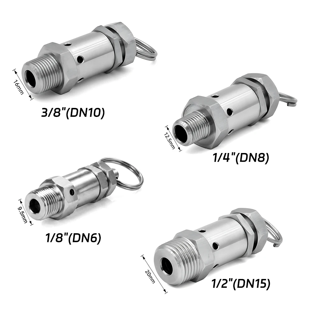 SS304 Mini Spring Automatic Safety Valve BSPT/NPT 1/8
