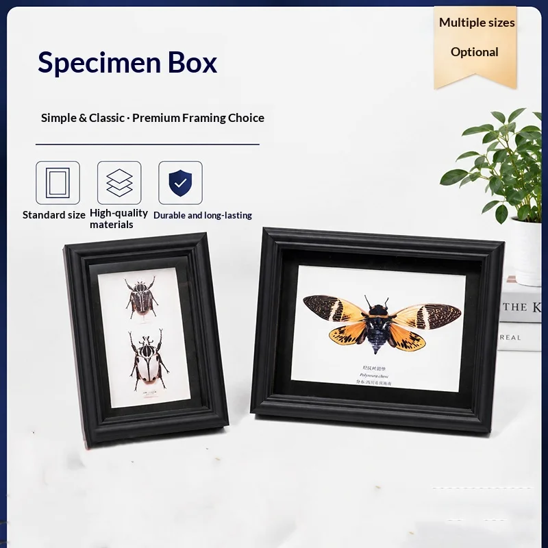 Hollow 3D Shadow Box Frame, Dustproof Specimen Display Case for Butterfly Insect, Wall & Tabletop Multi Size Photo Frame