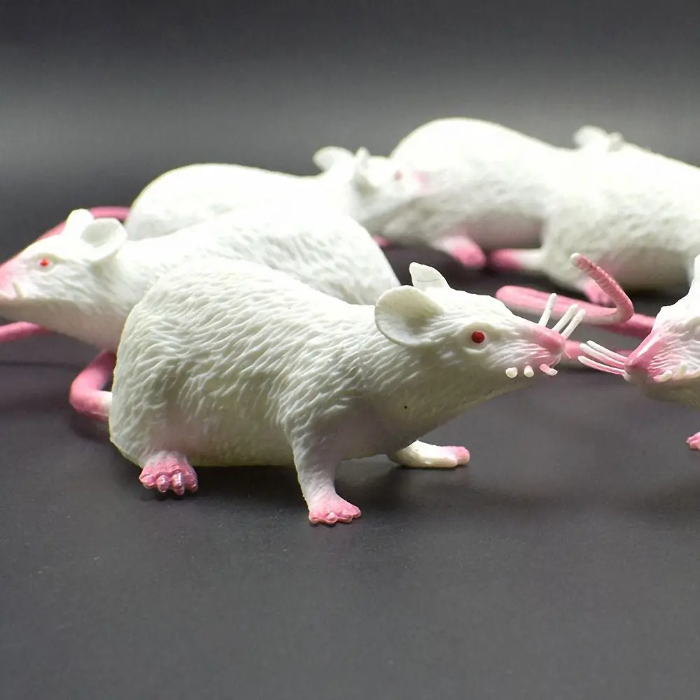 Künstliche Kleine Ratte Lebensechtes Maus-Modell Requisite Gruseliger Scherz-Streich Spielzeug Horror Halloween-Party-Deko Praktische Witze Neuartige Lustige Spielzeuge – Detail 3