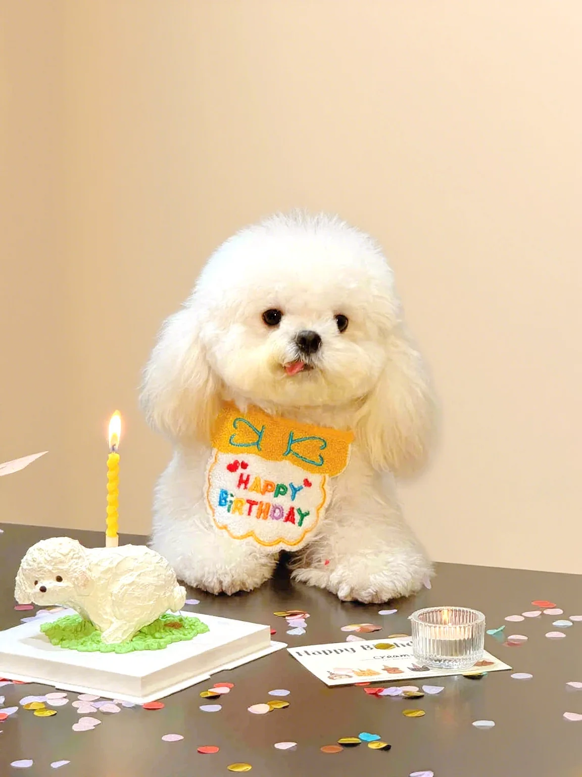 Thumbnail 2 - #81 Discounted Cotton Bandana Scarfs Worth Buying