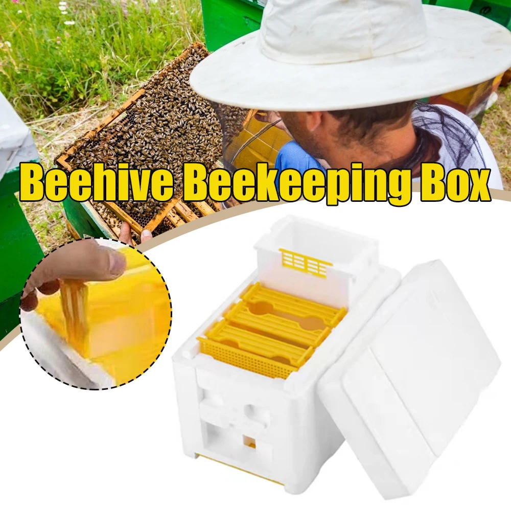 

Bee Hive Frame Holder Equipment Kit Bee Hive Foam Beekeeping Box King Beehive Garden Bee Keeping Bee Tool Nest Case