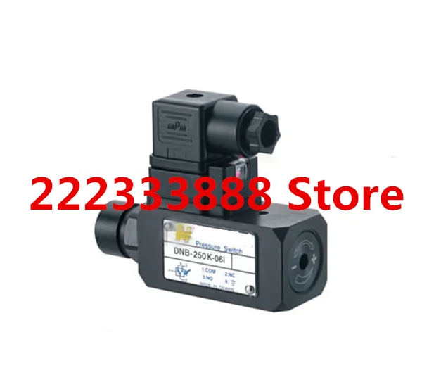 

DNB-250K-06I Two-way pressure switch, air pressure relay switch 40-250 bar