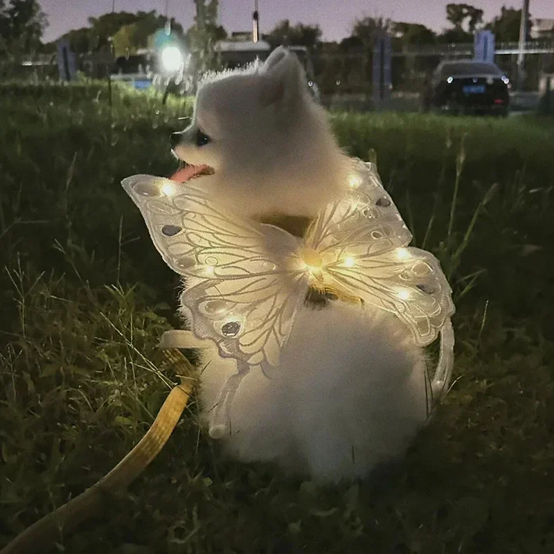 Dog wings glowing butterfly back decoration puppy summer clothes chest back decoration small dog Pomeranian Teddy Bigbear