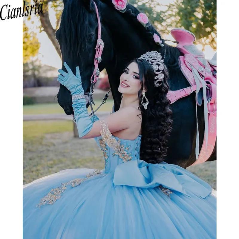 فساتين Quinceanera الزرقاء اللامعة فساتين الدانتيل الزهور الوردية 15 Anos حفلة عيد ميلاد حفلة موسيقية الكرة ثوب مخصص