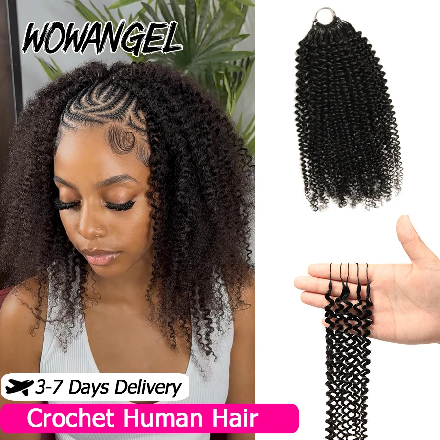 Afro Kinky Curly Crochet Braiding Human Hair Tight Curly Pre-Separated Knotless Feather Crochet Human Hair Extensions With Loop