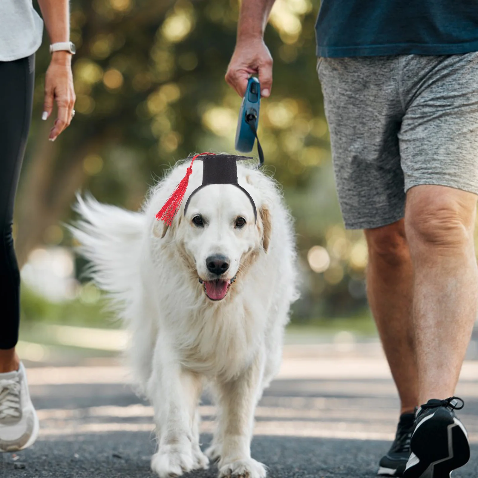 

Pet Graduation Cap Headband Cute Doctor Hat for Cats Dogs Comfortable Easy Wear Graduation Costume Party Birthday Show