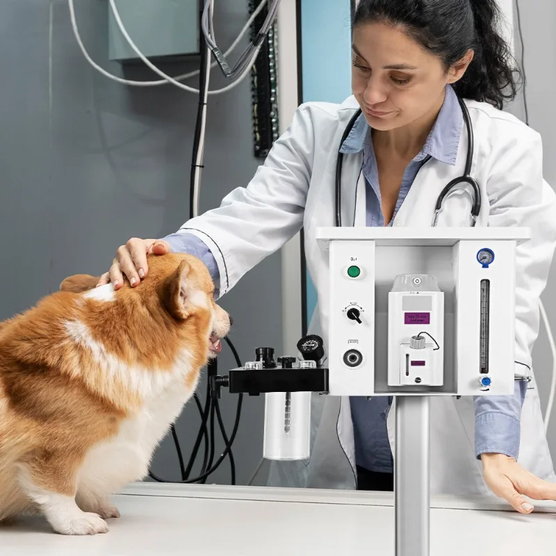 Professional Medical for Veterinary Use Animal Anesthesia Machine