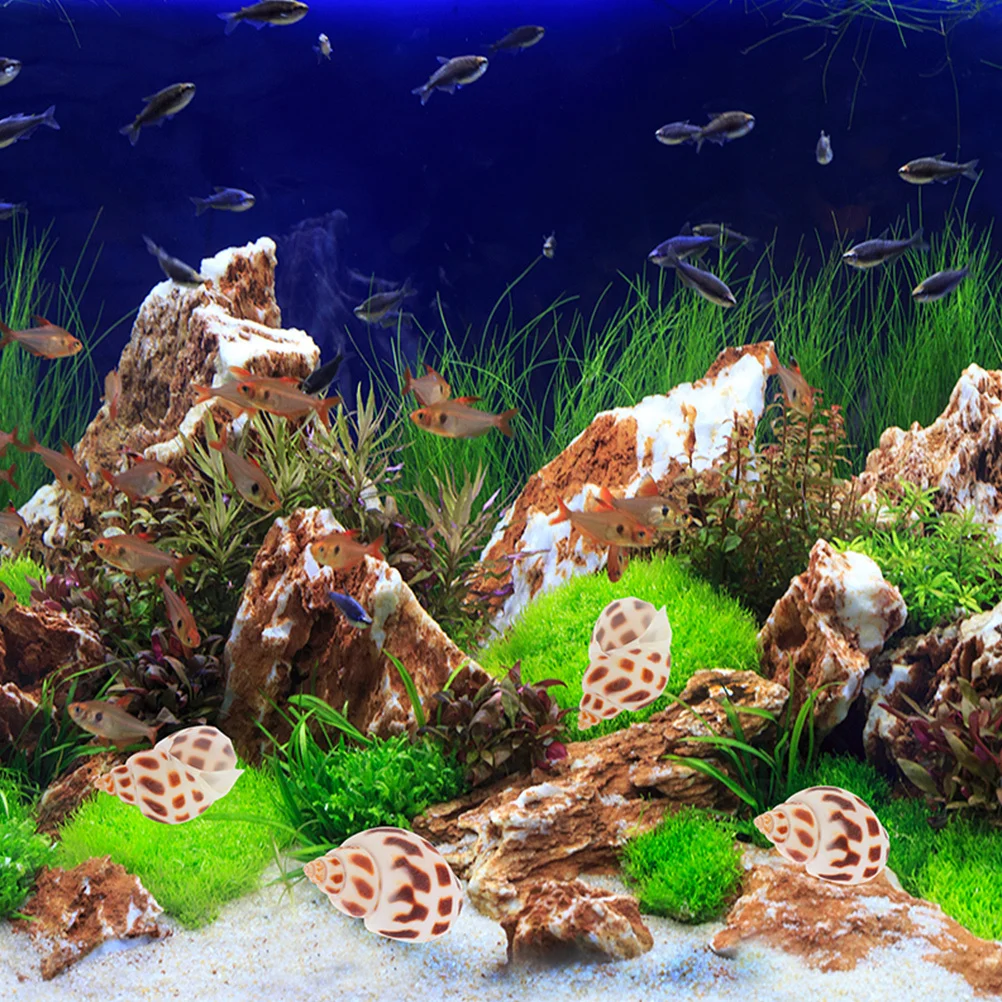 

160 Pcs Decoration Seashell Aquarium Ornament Decorative Natural Shells Ornaments Crafts