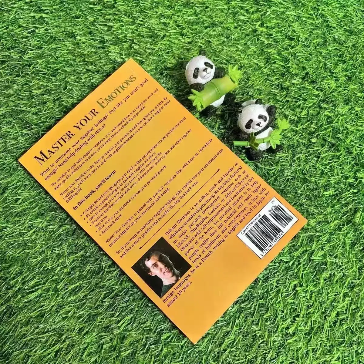 Thibaut Meurisse "استغناء عواطفك" الإنجليزية الأصلية يتغلب على العواطف السلبية وتدير أفضل عواطفك