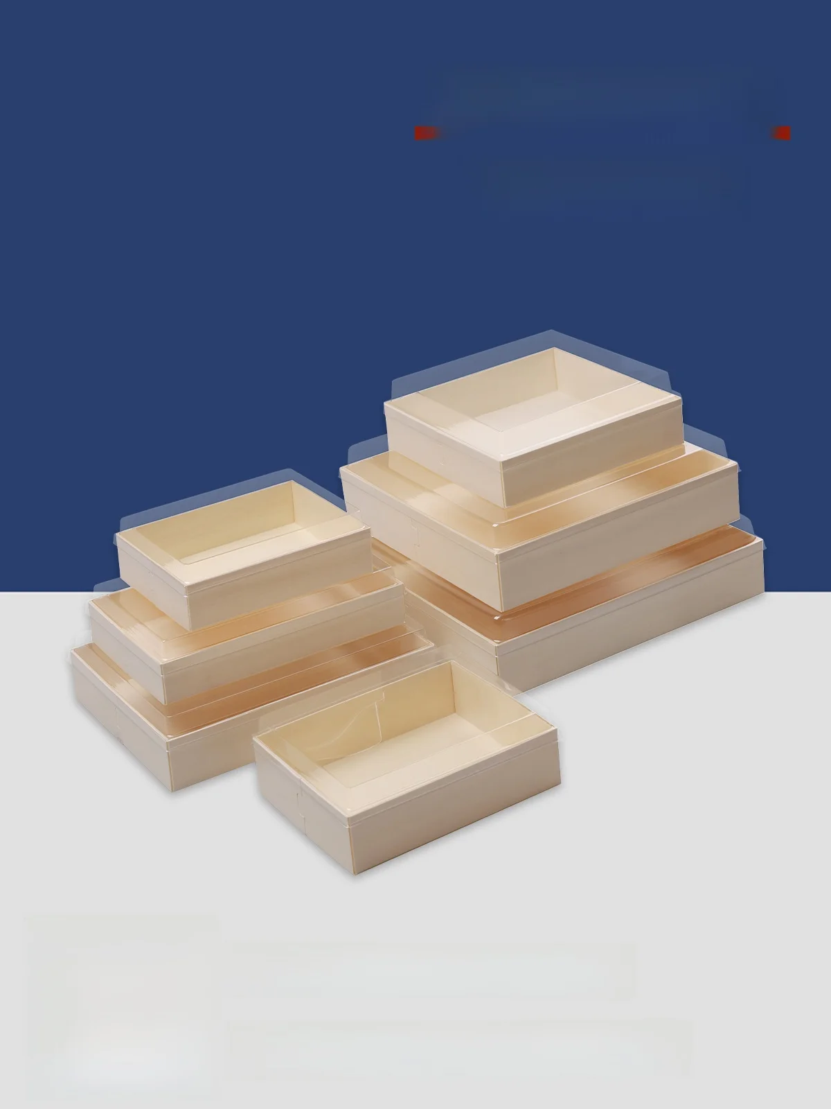 

Transparent Disposable Sui Paaging Box Commercial Use Fruit Container Eco-Friendly Deadable Material Long Rectangle Box