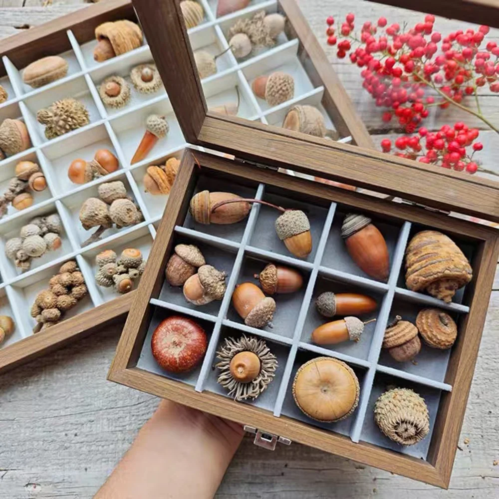 18 24 30 Grid Wooden Collection Box with Optional Glass Cover Specimen Storage Holder Desktop Display for Tiny Treasures