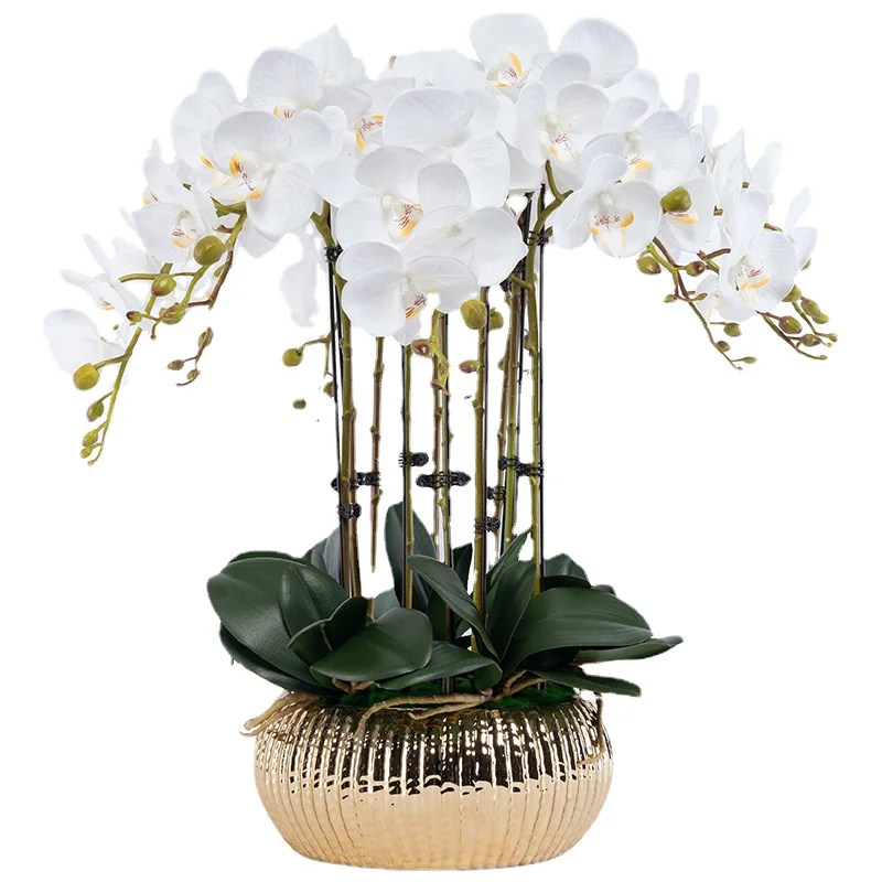 

YY High-End Hand-Feeling Phalaenopsis Artificial Artificial Flower Potted Indoor Living Room Plastic Flowers