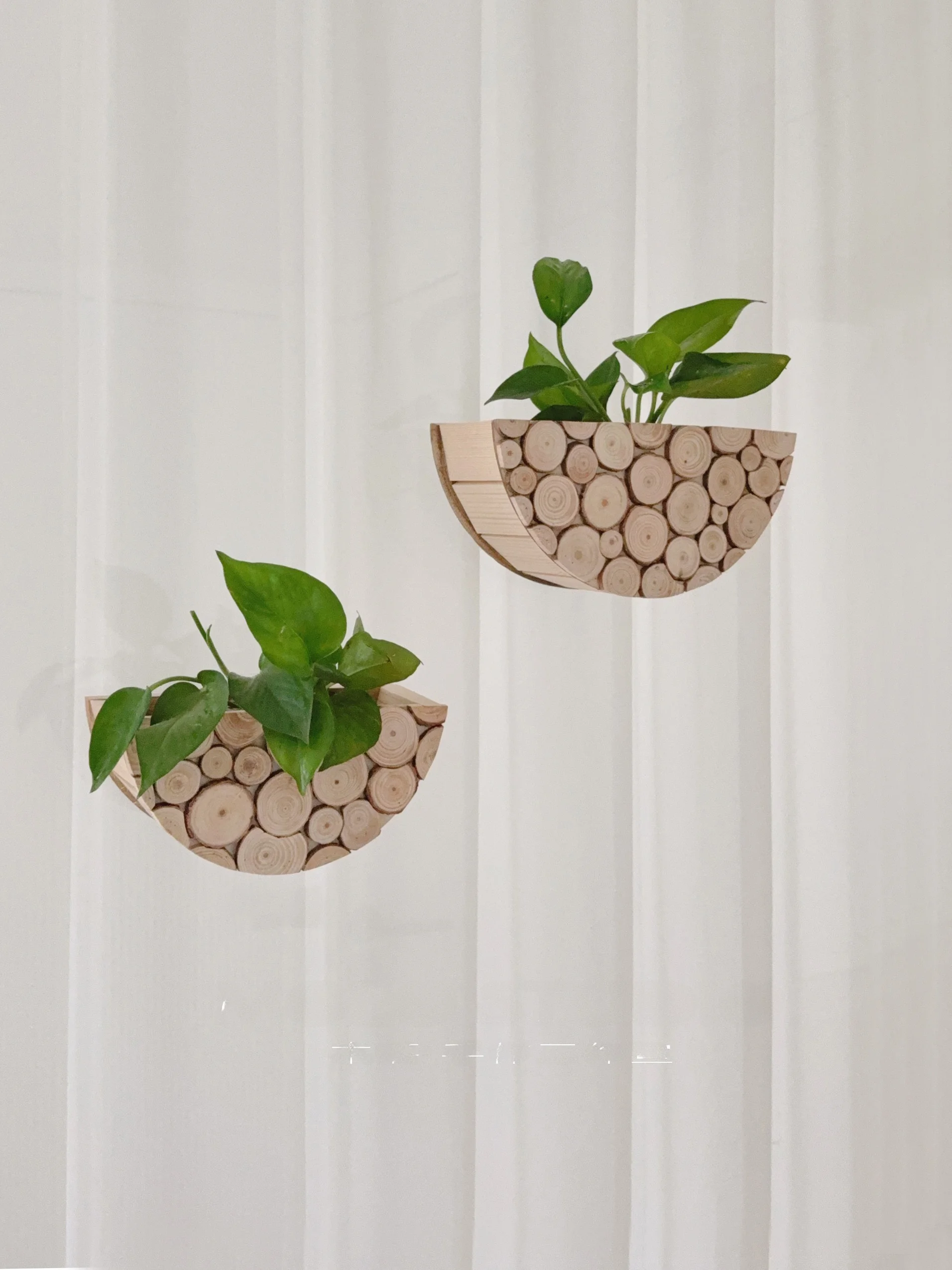 

Natural Wood Branch Chips Handmade Wall Decorations Real Wood Wall Art Green Plant Flower Pot Cover up Wood Hanging Orn...