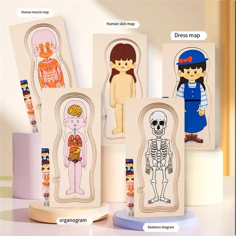 WHYY-rompecabezas de estructura del cuerpo humano de madera, rompecabezas de avión multicapa para niños, juguetes educativos para la primera infancia