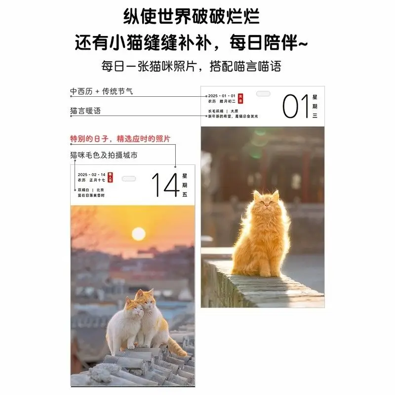 202501-202512 Cats To Pet Calendar Cute Kitten Edition Calendar Selected Cat Photo Calendar