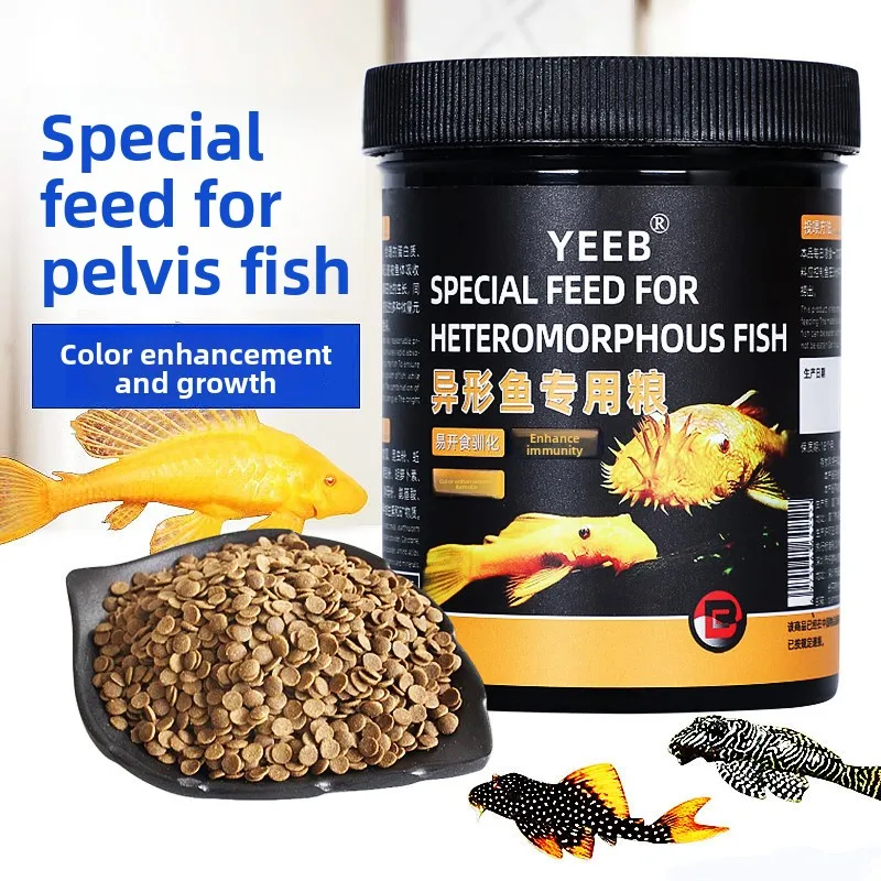 Yeeb Pleco&Bottom Feeder Food - Obleas que se hunden para comederos de algas (bristles, payaso, reina Arabesque Plecos), fibra alta, discos de 5 mm