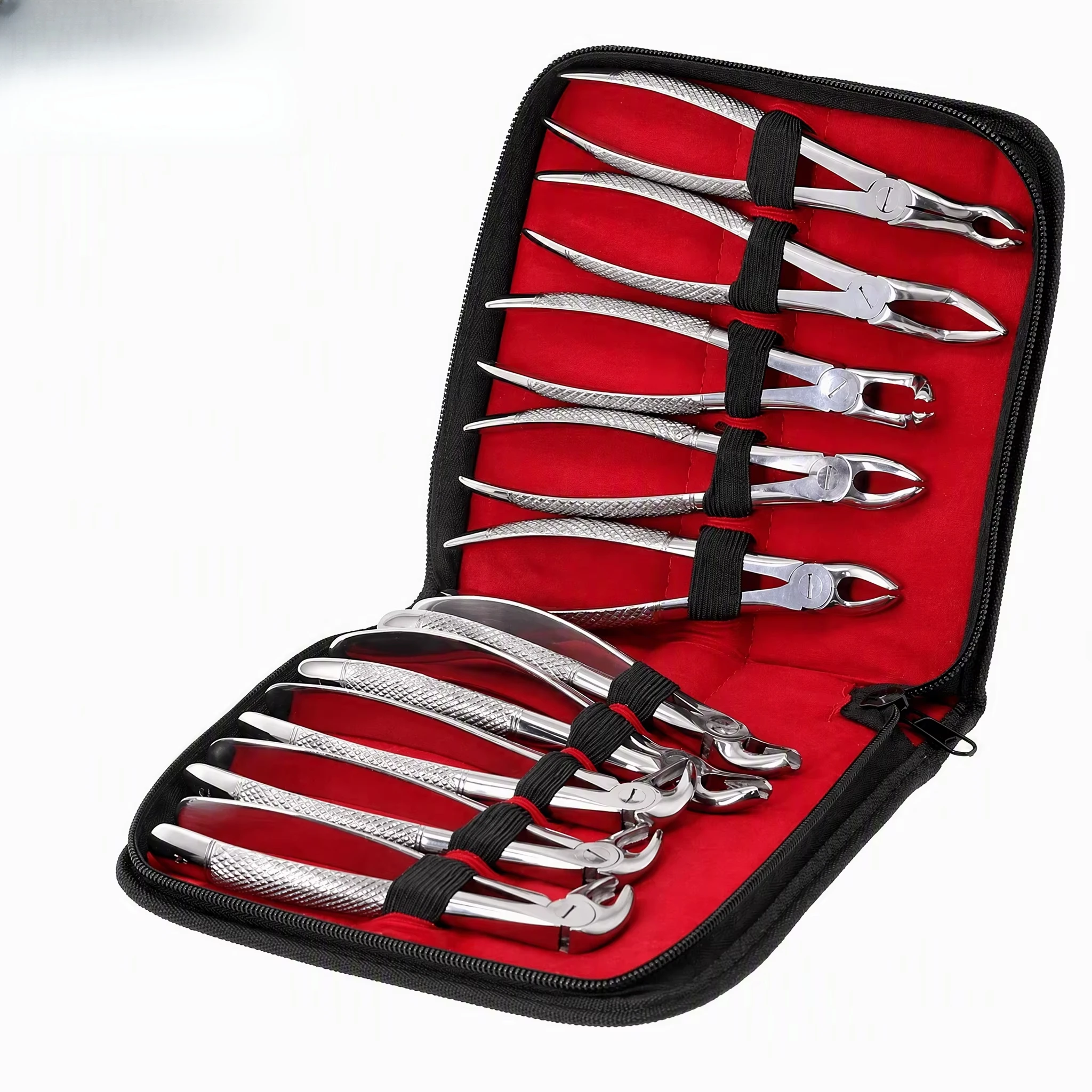 Portable Lab Instrument Set 10 Pieces Professional Stainless Steel Pliers Kit Extraction Forceps Set