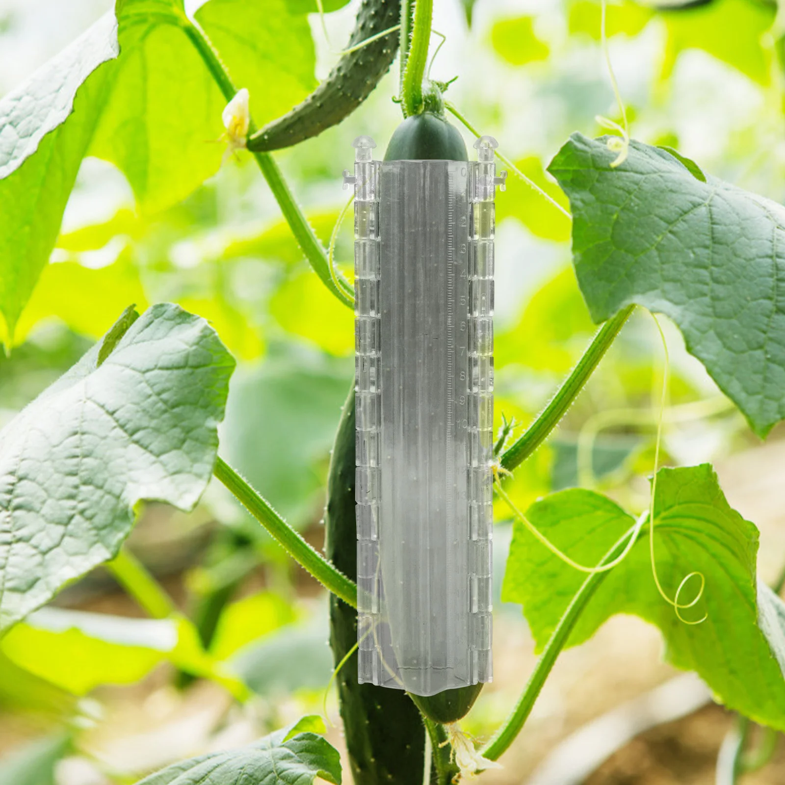 

2Pcs Five-Pointed Star Cucumber Shaping Molds Plastic Vegetable Growing Tools Outdoor Garden Fruit Growth Accessories