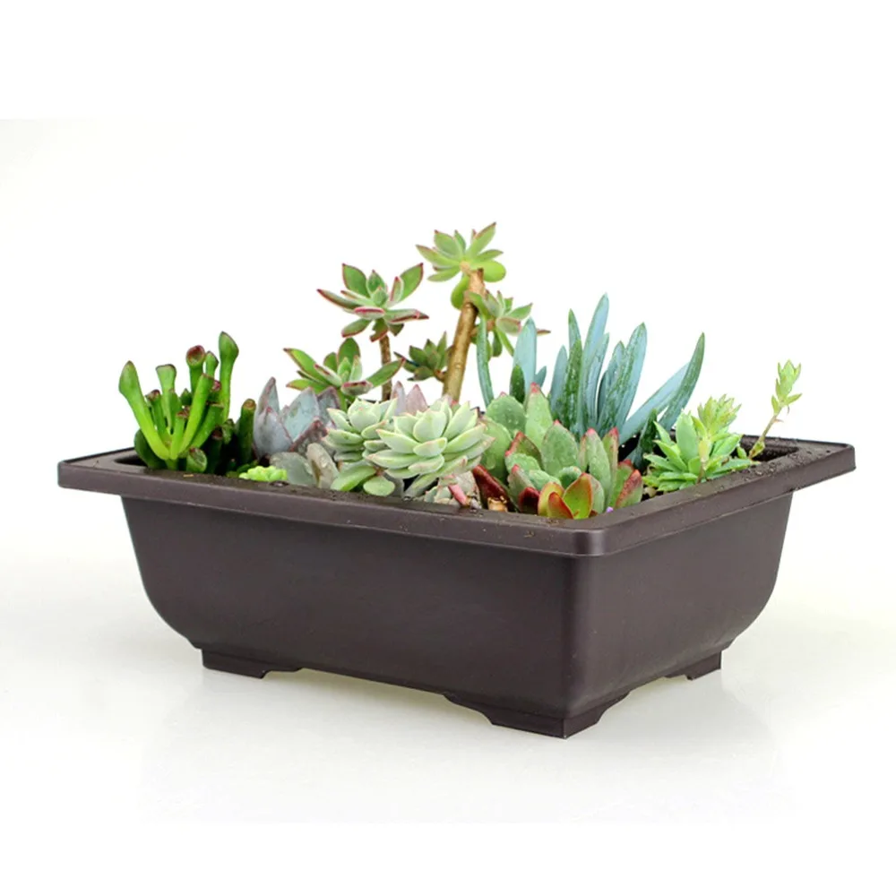 10 Vasi Per Bonsai Con Vassoio – Plastica Resistente, Ideali Per Piante Grasse E Cactus (16,5x12 Cm)