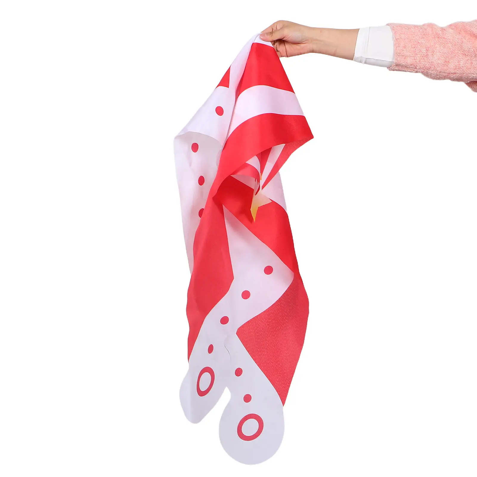 Carnival Birthday Backdrop Red and White Striped Circus Photo Booth Prop Door Banner for Festival Classroom Circus Camp Party