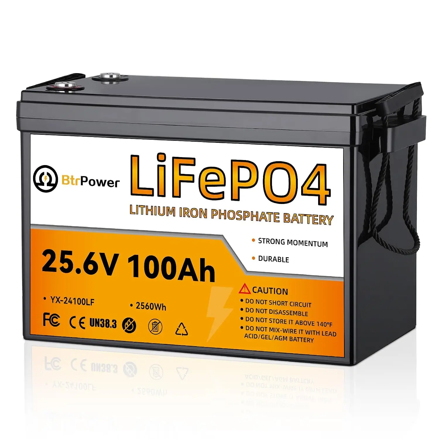 24V 100Ah LiFePO4 Deep Cycle Lithium Battery 2580Wh Energy Storage RV Solar Marine Off-Grid Power, Customized