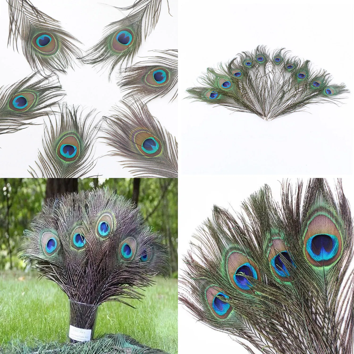 10Pcs/lot Peacock Feather Length 25-30cm10-12" Natural Peacock Feathers for Crafts Peacock Decorations for Home Hotel Decoration