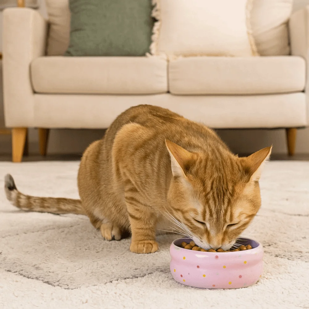 

Easy Clean Wide Mouth Ceramic Cat Bowl Cartoon Donut Shape Pet Food Bowl Anti-Tip Heavy Base Dog Food Bowl for Puppy Cats
