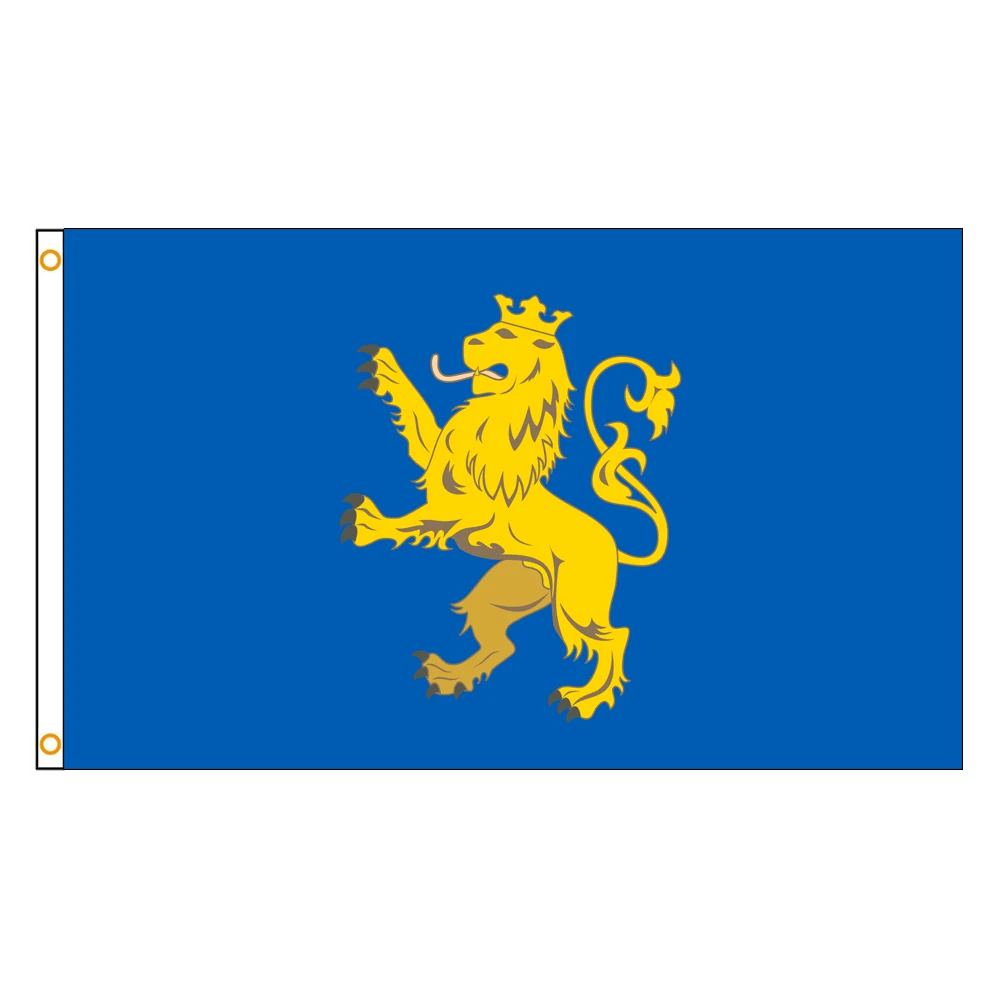 3x5 Ft Lviv Oblast Flag Vivid Color an oblast of Ukraine Flags Polyester with Brass Grommets