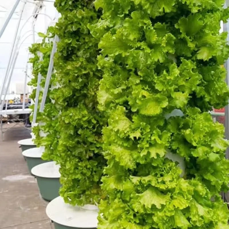 تكنولوجيا الزراعة العمودية نظام نمو البرج المائي نظام النمو الداخلي برج النمو العمودي مع مضخة مياه ومؤقت #4