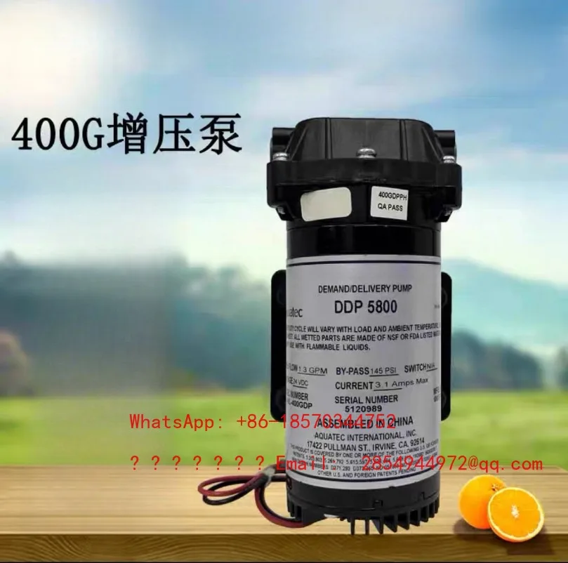 2026       Water Purifier Booster Pump DDP5800 24V400 Reverse Osmosis Water Purifier Motor Diaphragm Booster Pump