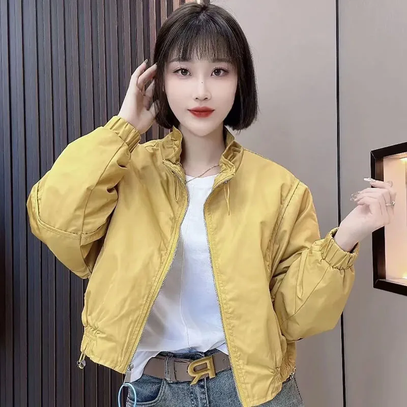 2025 New Edition Standing Zipper Short Jacket Spring Autumn Women's Korean Loose Casual Splicing Baseball Coat Female Windproof