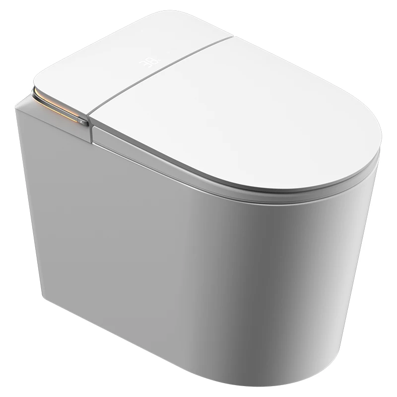 

New Design Foot Sensor Control Electric Automatic One Piece Toilet Ceramic Intelligent Toilet Bowl Bathroom Smart Toilet