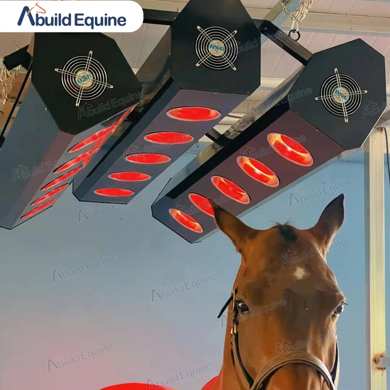 High Quality Equine Horse Solarium for Farms Powder Coated