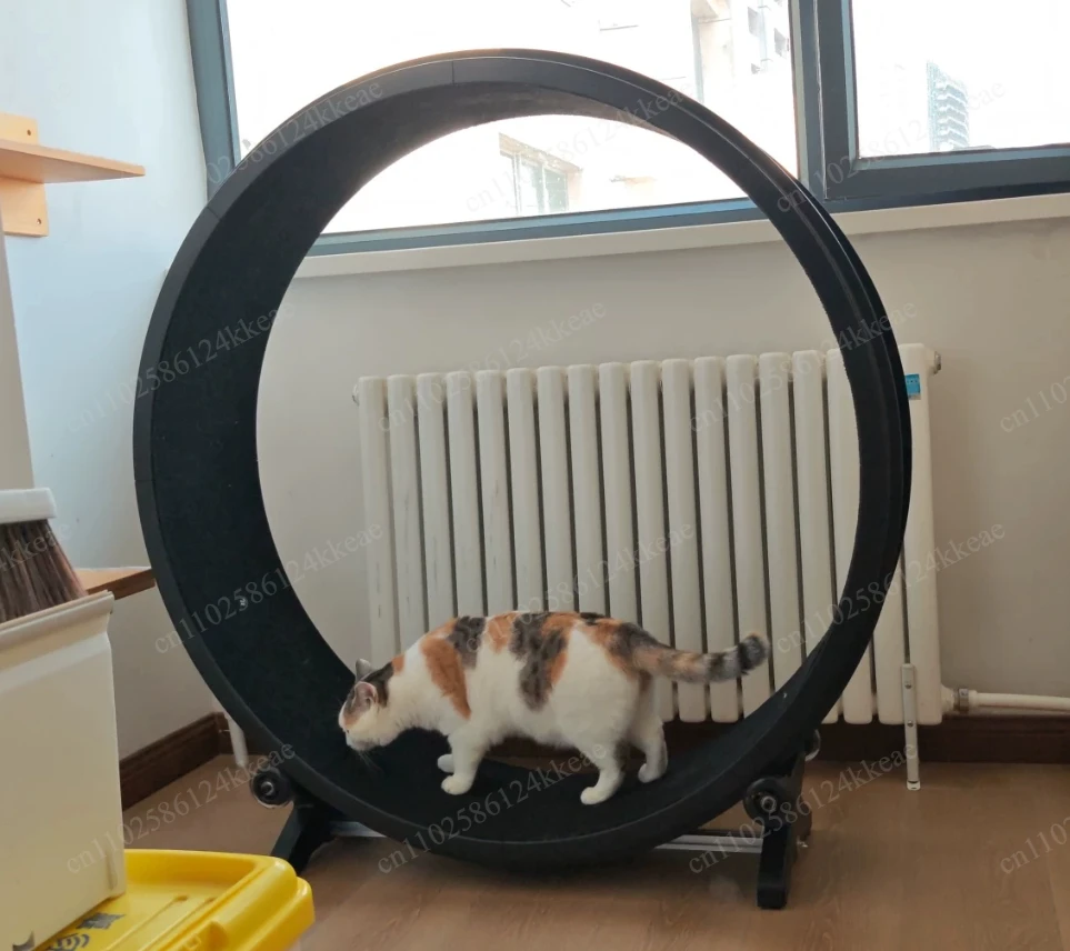 Silent Silky Cat Treadmill and Climbing Frame for Cat Training, Indoor Exercise Running Wheel for Pet Activity and Play