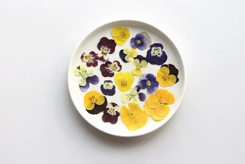 

5 Packs of Cornflower Pressed Flowers DIY Real Flower Plant Specimens Dried Flower Face Stickers Petal Makeup Materials Resin Bookmarks Candles Pressed Flowers