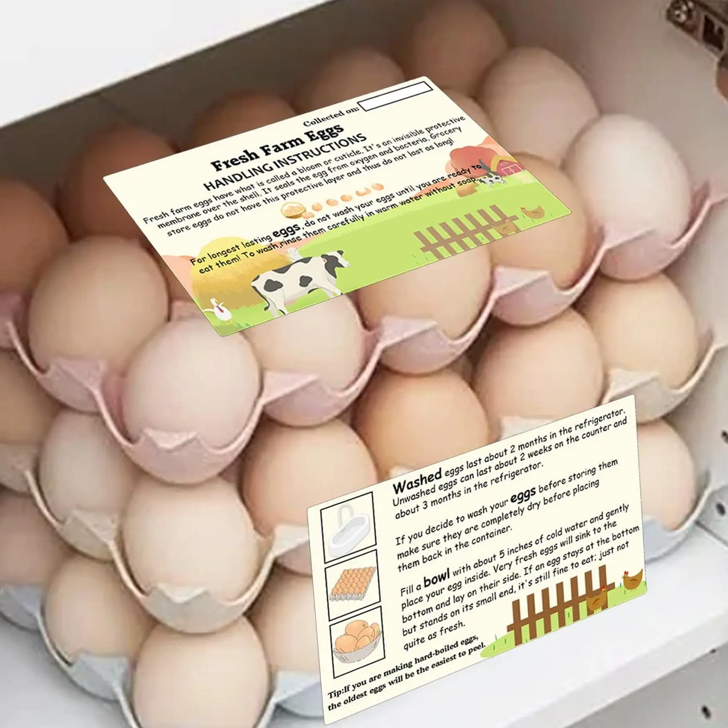 Imagem -04 - Farm Fresh Eggs Handling Instruções Acessórios Cuidados Cartões Etiquetas para Eggs Basket Armazenar Organizador Extra 2*3.5 50 Pcs