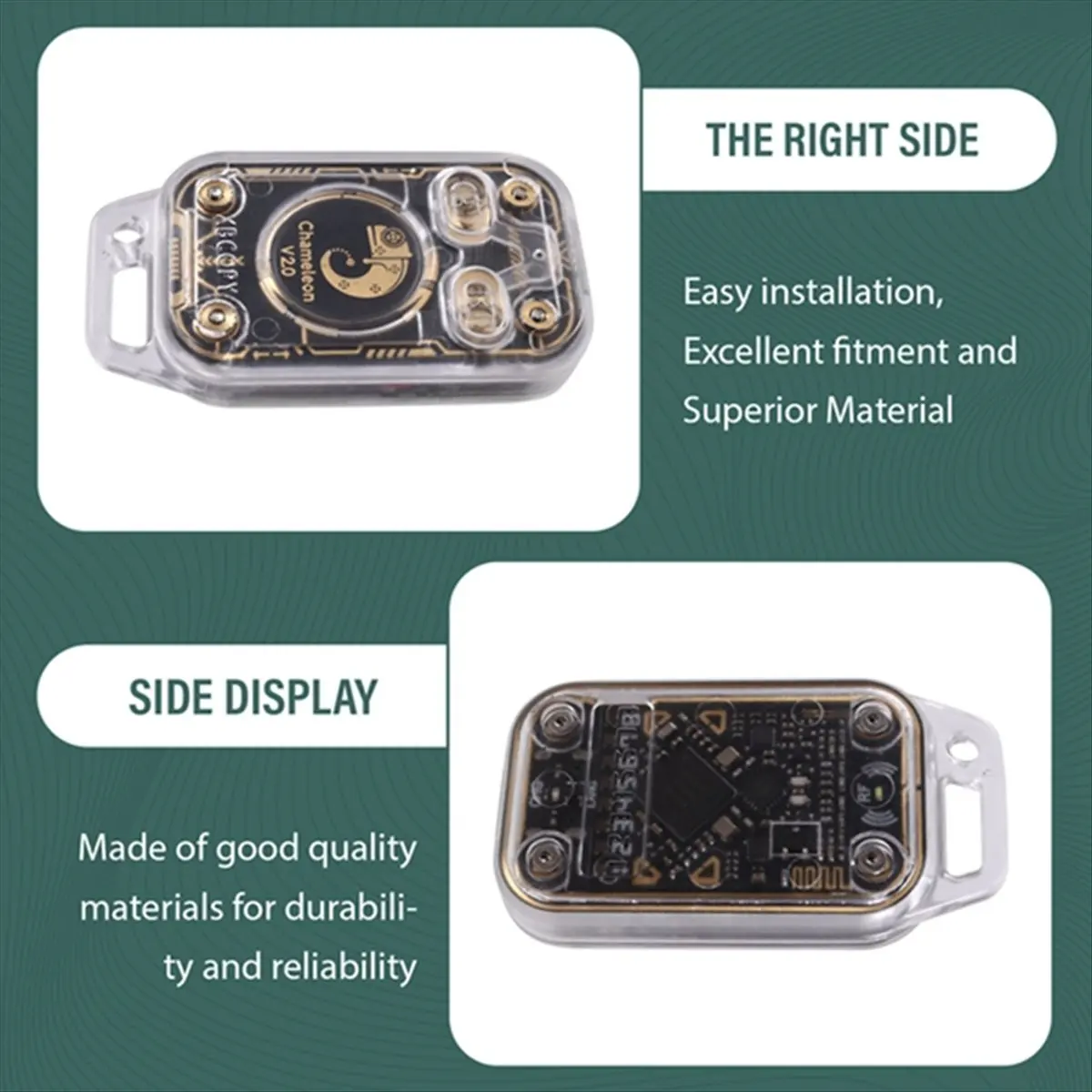 AT11 Sale Chameleon…